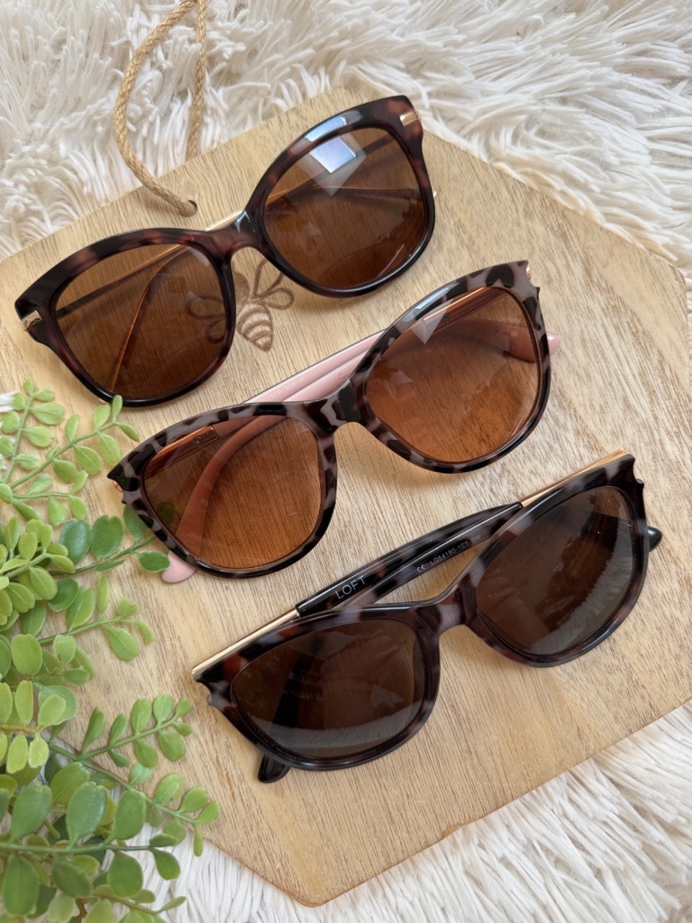 LOFT Tortoiseshell Brown Lens Sunglasses (Set of 3)